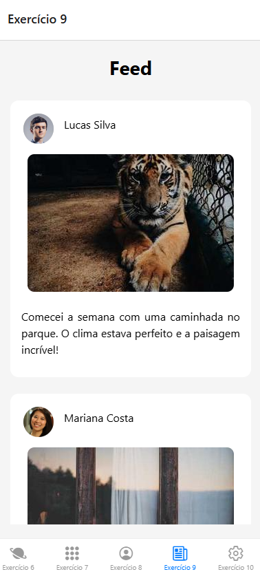 Imagem do projeto Tela de Feed